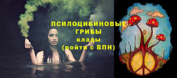 гидра Елизово