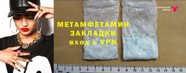 гидра Елизово