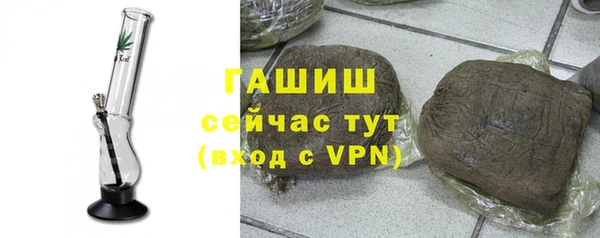 гидра Елабуга