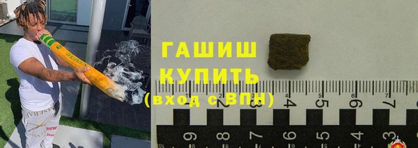 гидра Елабуга