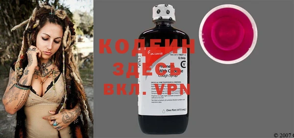 гидра Елизово