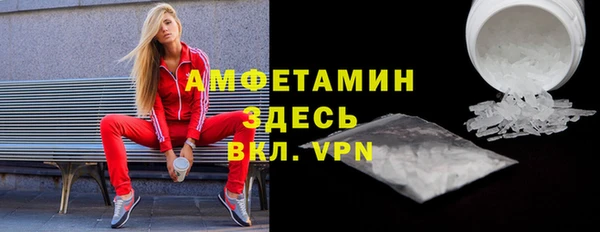 гидра Елизово