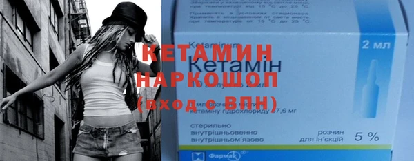 гидра Елабуга