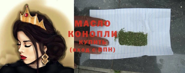гидра Елабуга