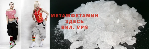 гидра Елизово