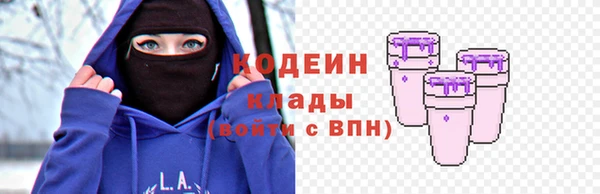 гидра Елабуга
