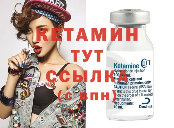 гидра Елизово