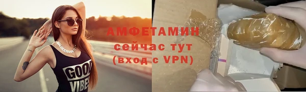 гидра Елизово