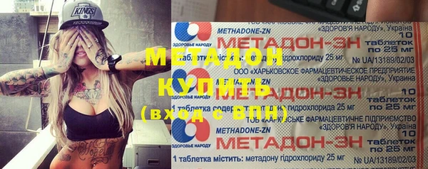 гидра Елизово