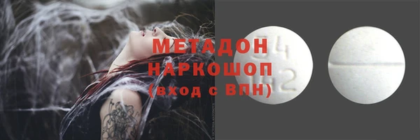 гидра Елабуга