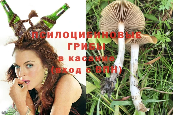 гидра Елабуга
