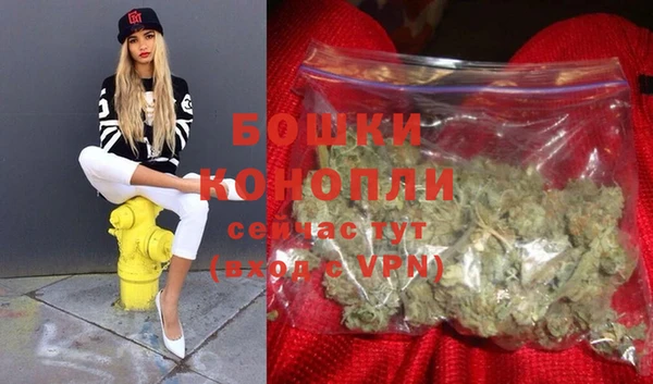 гидра Елизово