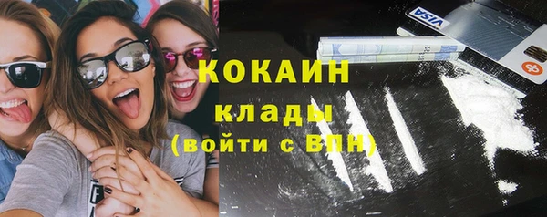 гидра Елабуга
