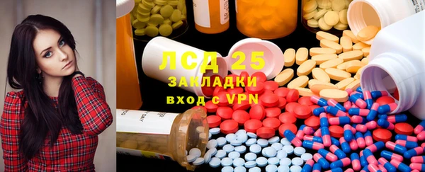 гидра Елабуга