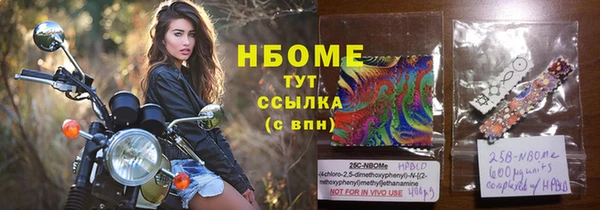 гидра Елабуга