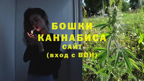 гидра Елабуга