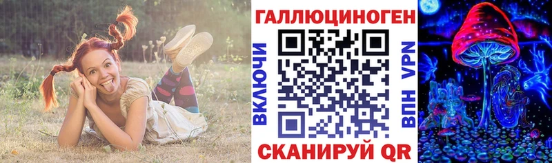 Псилоцибиновые грибы Psilocybine cubensis Кадников